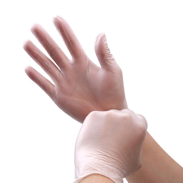 Clear Transparent Protective L 5.5g Disposable PVC Gloves