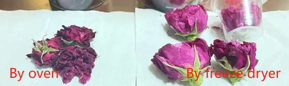 Medium Size Freeze Dryer Fruit Machine For Pet Food Milk