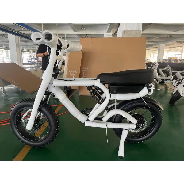 Smart Sensor Dual Battery Cargo Ebike Customized for Family Delivery Convenience