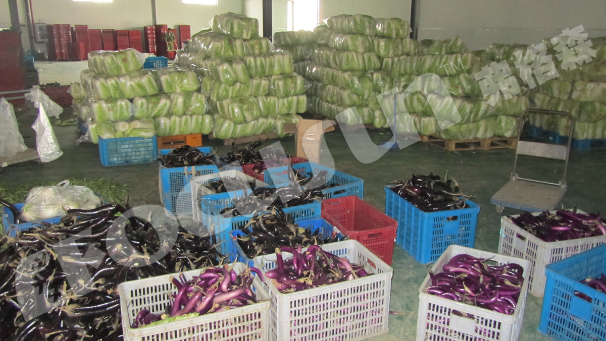 Промышленный вакуумный охладитель для овощей и фруктов с обеспеченным видеопросмотром