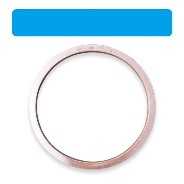 Механические валы Фторная резина Нитрильная резина Печатные кольца поршень Гидравлические