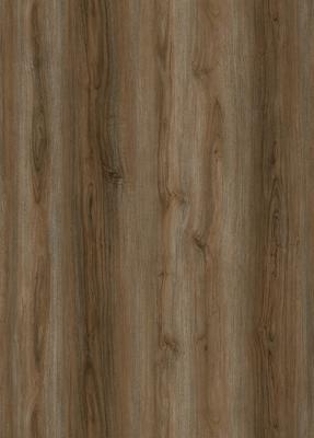 4mm Camphor SPC Wood Flooring Dampproof Fireproof Stone Plastic Composite GKBM DP-W82216