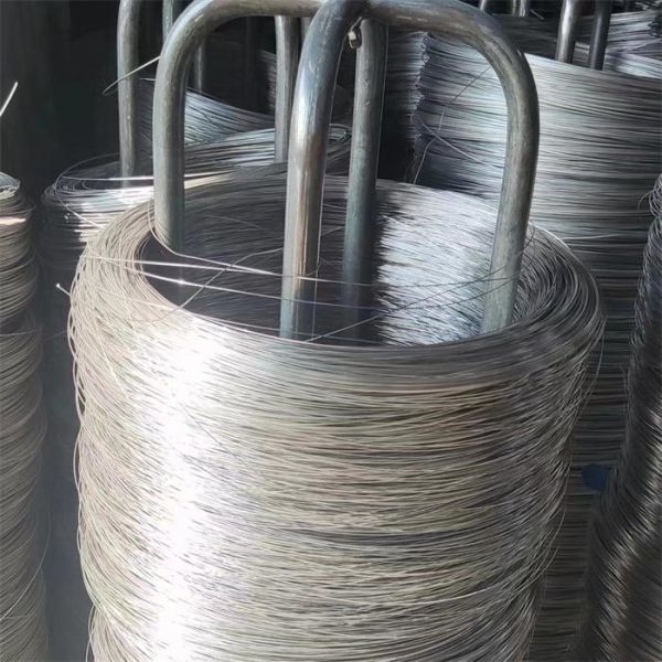 0.5mm fil d'acier inoxydable recuit 304 201 316 serpentine nez Ss fil de broyeur doux durable