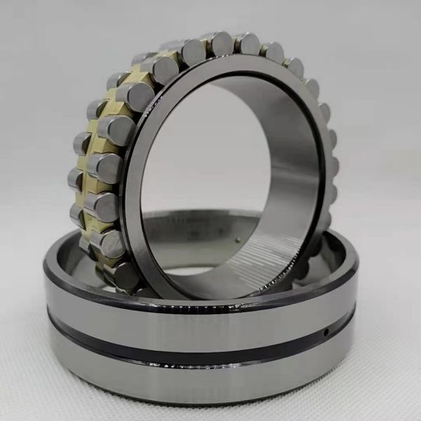 OEM Seals Type Cylindrical Roller Bearing N204 N204m for Car Gearbox 20X47x14 Structure