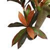 Dracaena Silk Plant Artificial 5ft Faux House Plants Evergreen Dracaena Marginata Fake Yucca Palm Trees in Pot