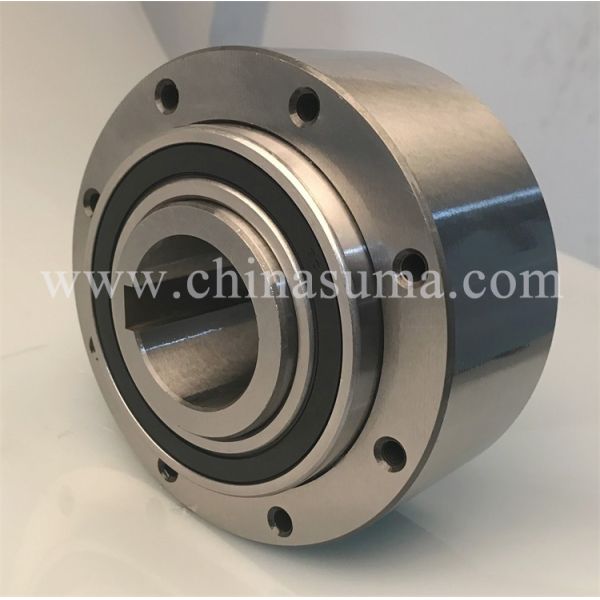 RIZ30 9000RPM Freewheels 1 Directional Roller Bearing Clutch