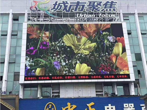 Multi Color LED Display Advertising Board User Friendly Interface VGA DVI HDMI