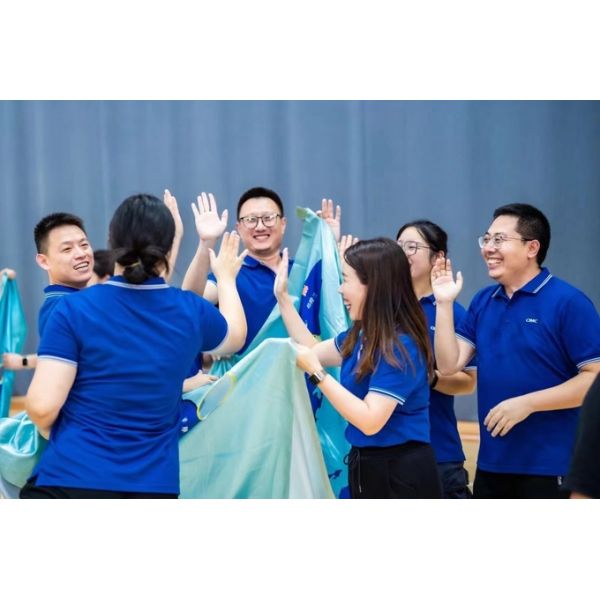 Новый стиль горячая продажа высокий барьер не съедобный полиамид колбасные корпуса