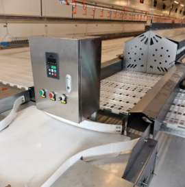 Low Maintenance Poultry House Equipment with 20+ Years Lifespan and 12,000 Eggs per Hour Collection