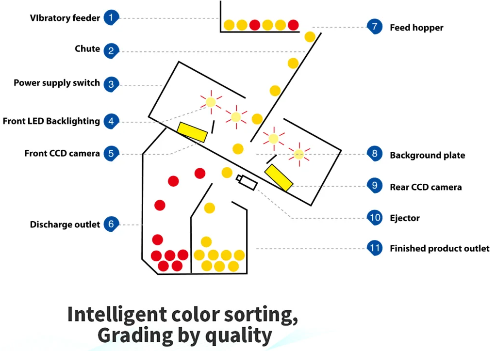 2023 Новый дизайн CCD Nuts Color Sorter Машина для разделения цвета грецкого ореха кешью кокосового ореха