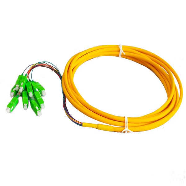 SM 1.5m 3m 12 Core colored SC APC Fiber Optic Pigtail IEC ISO 9001
