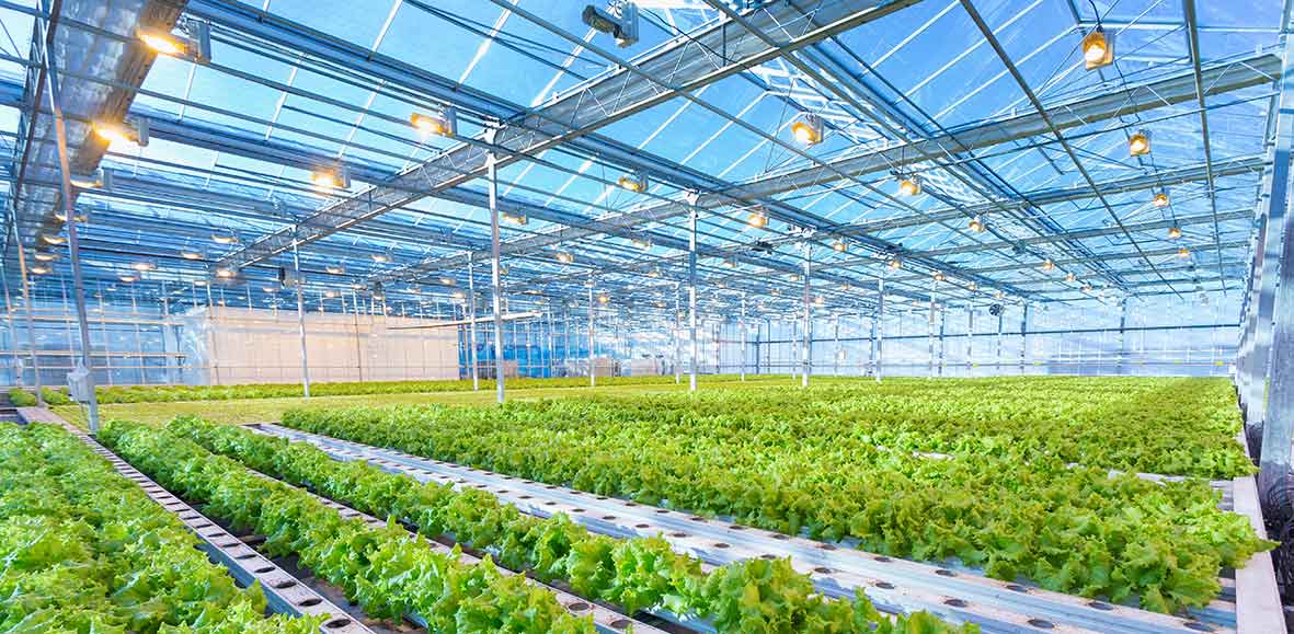 Парник на открытом воздухе полива рамки аграрный солнечный приведенный в действие