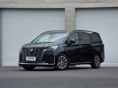 Customization Top Speed Km/H 195 MPV Car Gasoline Car Buick Gl8 2023 Es Flagship Version