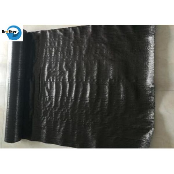 PP Anti Weed Mat, Agricultural Plastic Weed Control Fabric, Black Weed Prevent Cloth with Cheap Price