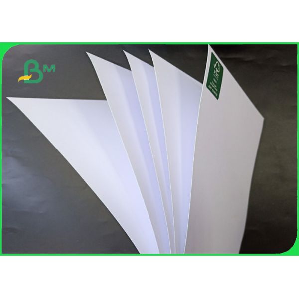 180g FSC Support High Hardness And Good Stiffness Woodfree Paper In Roll