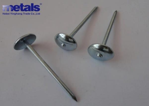 2.5X9 Smooth Shank Electro Galvanized Roofing Nails For Roofing Sheet