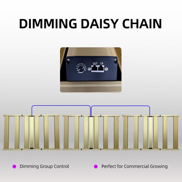 Commercial Horticulture LED Grow Lights 1500W Full Spectrum Dimmable LED Grow Lights