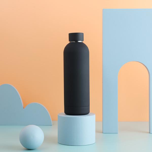 Double Wall 18/8 Stainless Steel Water Bottle Small Mouth Keep Cold And Hot