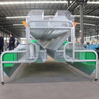 Indoor Female Rabbit Cage , Automatic Control Rabbit Hutch For 2 Rabbits