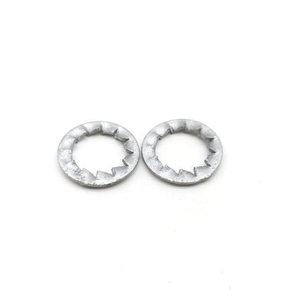 Hot Dip Galvanized Internal tooth Serrated Lock Washer Din 6798 J