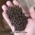 85C Hot Melt Glue Granules Round Grain Epoxy Wood Glue Medium Temperature
