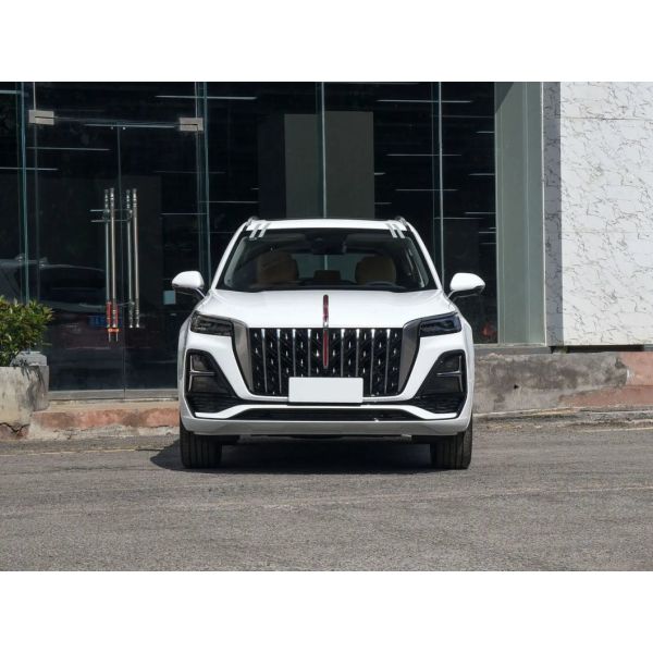 Customized Request for 2023 Hongqi E HS9 Qm5 HS5 HS3 HS7 Ehs9 4 6 7 Seat Eqm5 Flagship