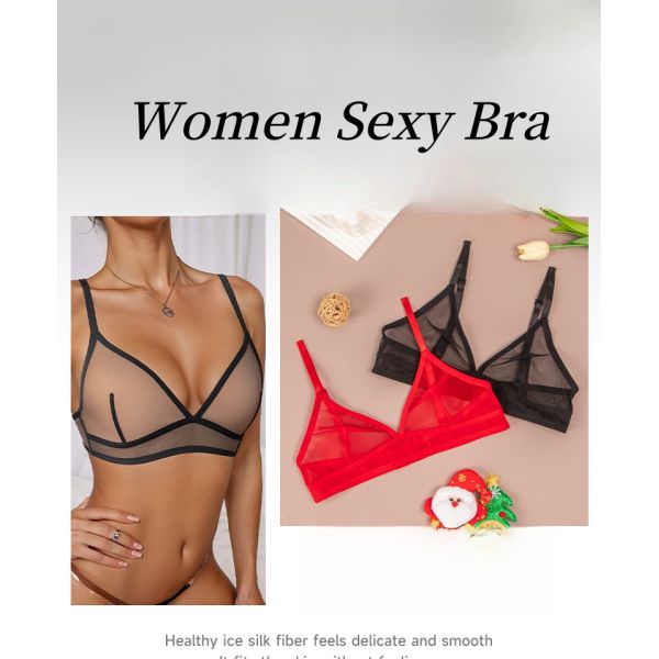 Transparent Mesh Erotic Bra Wholesale Price Xs-xxl Sizes Ladies Bra Underwear Hot Sexy Lace Wholesale Bra for Female