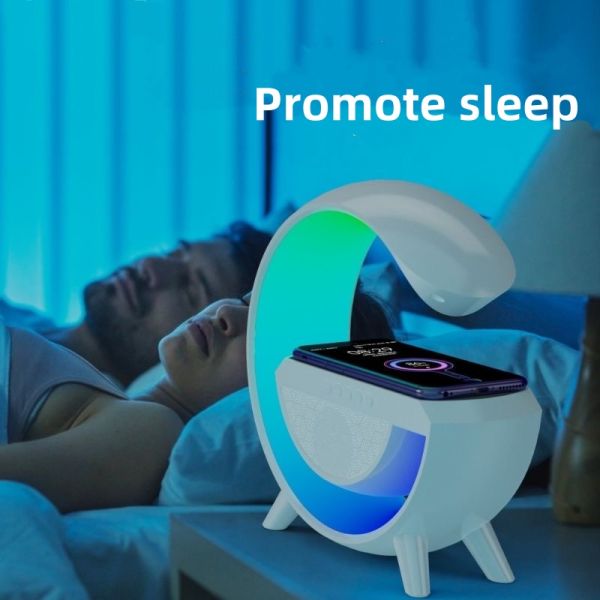 Portable Wireless Bluetooth Speaker USB With Microphone