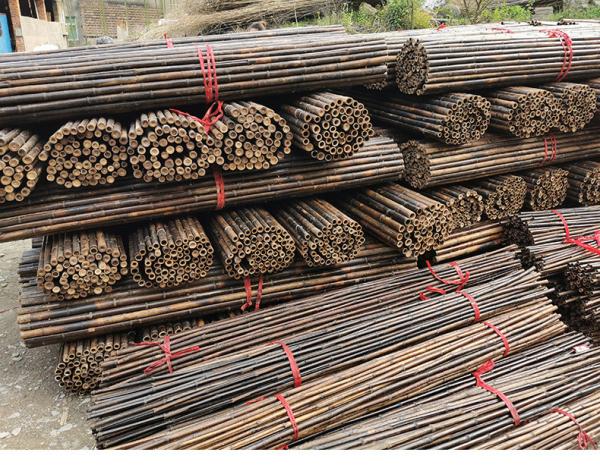 Natural Bamboo Raw Material Garden Fencing Panels With 180cm 240cm Length
