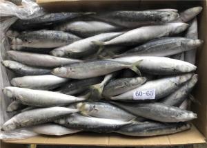 Isca de pesca congelada 65g de Decaptromateus Macrosoma 60g do mar