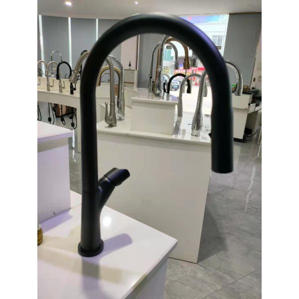 2022 Best Seller Bathroom Brass Pull Out Kitchen Faucet with Two Functions Hotel