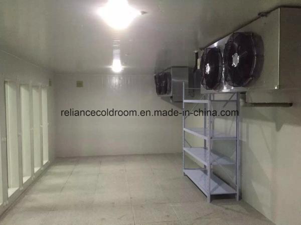 Reliance marche dans la chambre de congélation à -20 °C à -30 °C avec la technologie de refroidissement direct