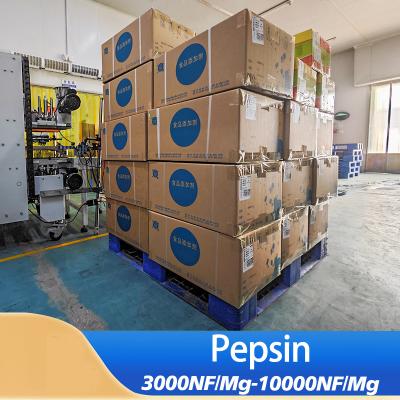 Pepsine pancréatique de qualité alimentaire personnalisée FSSC22000 MUI Approbation du système casher