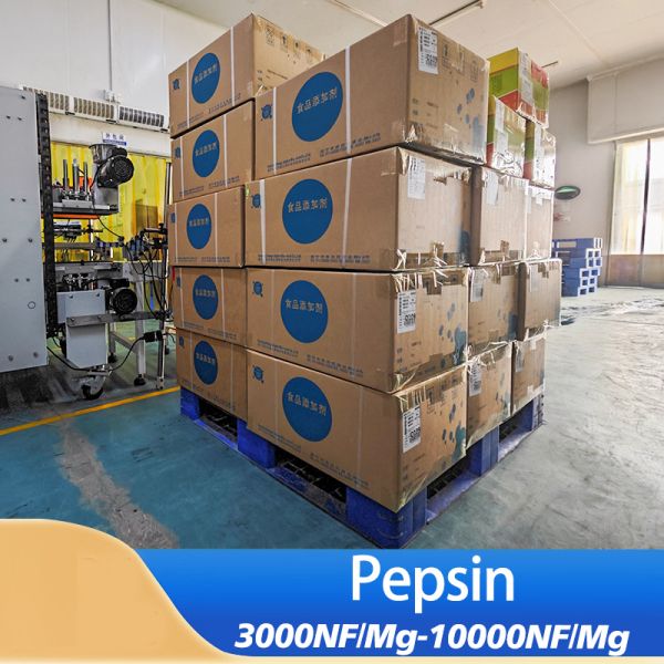 pepsine enzyme 10000NF use in industry of  Food Processing