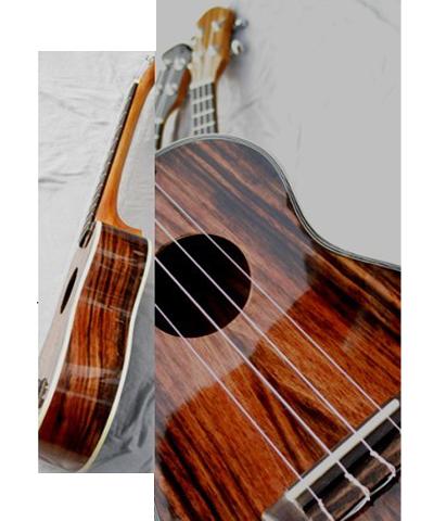 21"  concert Ukulele Ebony solidwood four string guitar high quality AGUL19