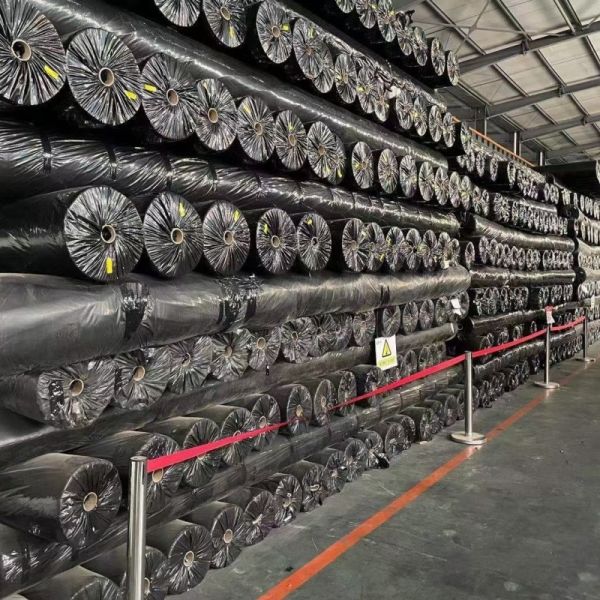 Reinforcement Biaxial Plastic Geogrid Highway Railway Foundation Bx Geogrid