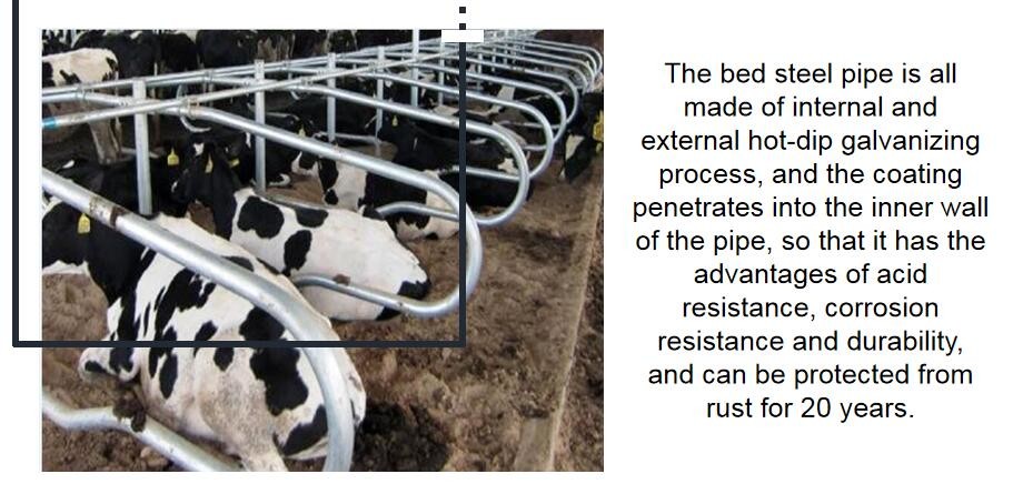 Животный одиночный тип свободная труба горячего погружения амбара стойла гальванизированная