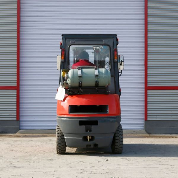 LPG Gas Dual Fuel Petrol LPG Gasoline Forklift Fg20 with Impco Omft Standard Ce ISO SGS
