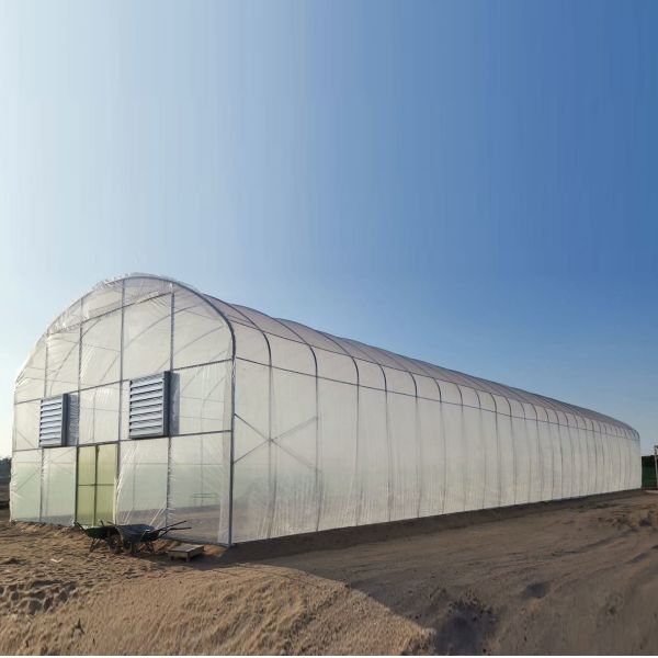 Устойчивые низкотоннельные пластиковые навесы для пленки Полихаус Теплицы для выращивания томатов