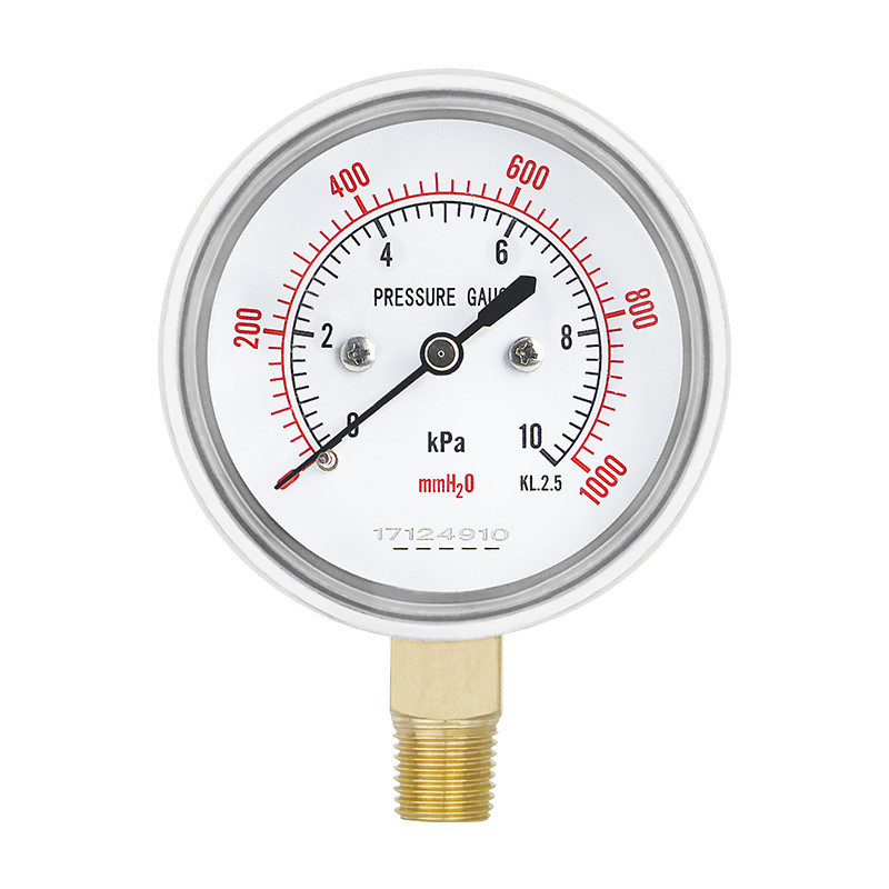 Gas Measurement Tool 60mm Capsule Micro Pressure Gauge Thread ZG1/4 Range 2.5-100kpa