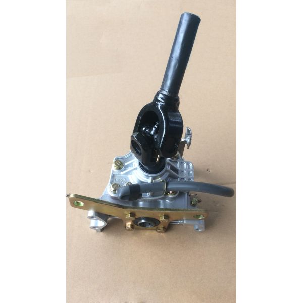 Cargo Tricycle Engine Parts / Reverse Gear With 3D Stereoscopic Housing