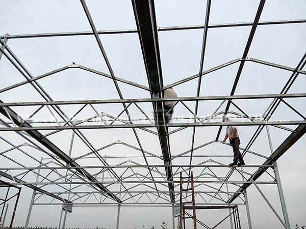 275g/m2 Side Ventilation Glass Hydroponic Greenhouse For Flowers