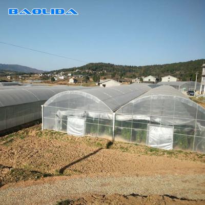 Estufas da tecnologia do jogo da estufa do filme de polietileno do berçário da planta/exploração agrícola