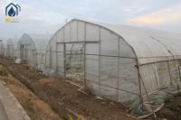 Commercial Tunnel Greenhouse Agriculture Poly Tunnel For Higher Crop Production