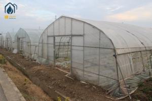 Commercial Tunnel Greenhouse Agriculture Poly Tunnel For Higher Crop Production