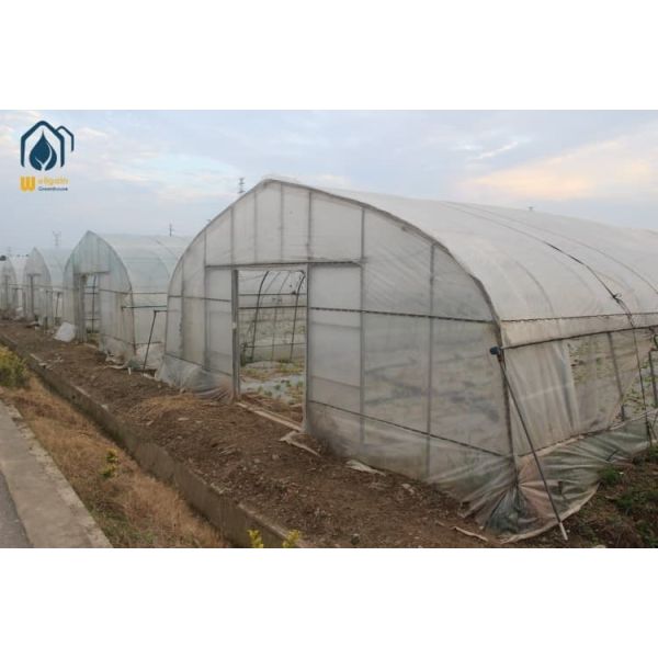 2.5m - 4.5m Commercial Tunnel Greenhouse Agriculture Poly Tunnel Greenhouse