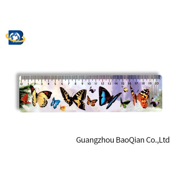 Правители подарков 3Д канцелярских принадлежностей детей изготовленные на заказ пластиковые, линзовидное изображение печатая красивую диаграмму