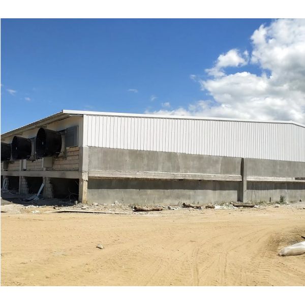 RG Professional Industrial Design Style Steel Pig Farm Equipment One-Stop Hot Selling for Farmhouses