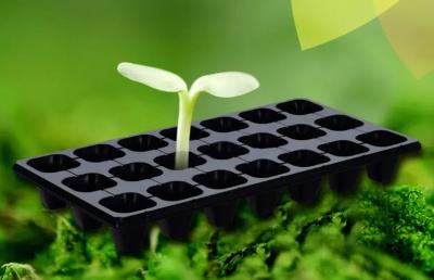 Bandejas plásticas da plântula do acionador de partida da propagação da semente vegetal preta da planta 21 pilhas