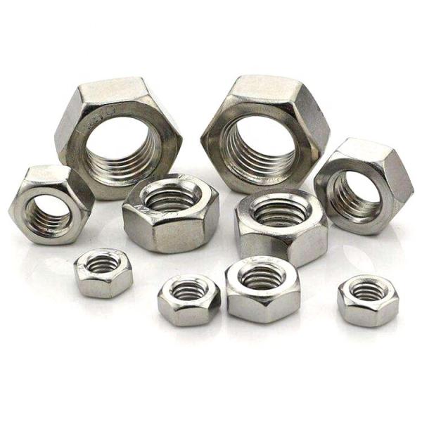 Auto Parts Stainless Steel Hex Nuts Passivated Fine Thread Zinc Plated Finish
